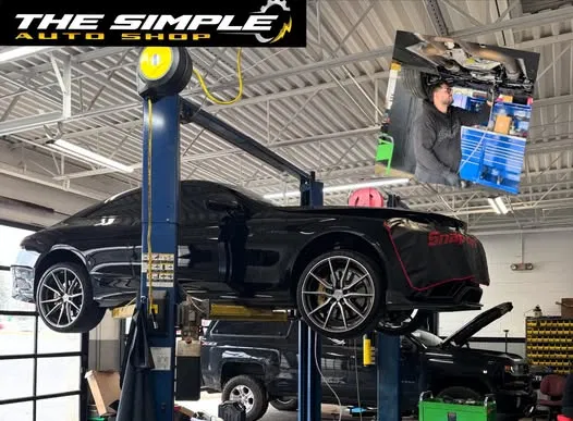 Do You Really Need New Brakes? Here’s the Truth About Common Signs and Repair Costs